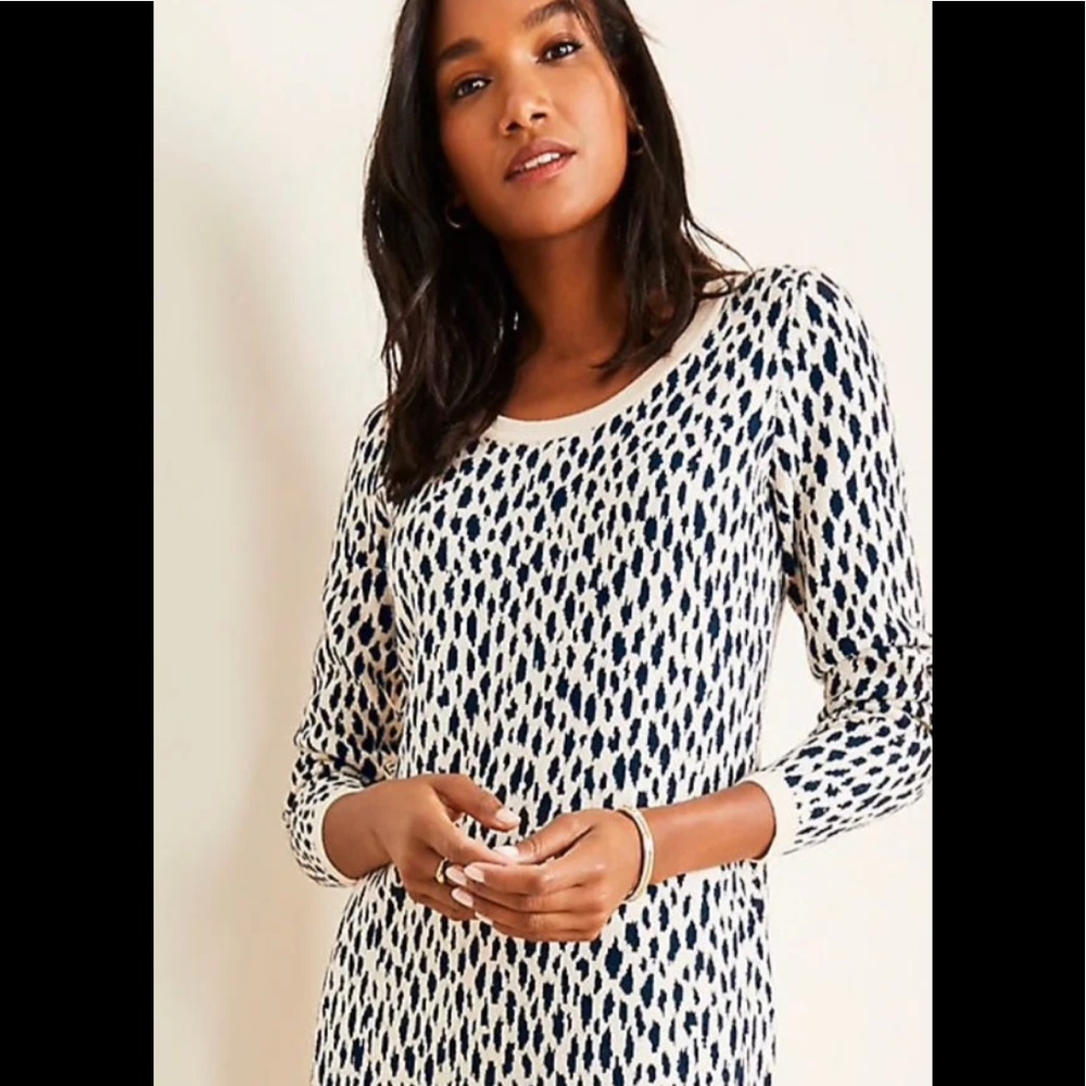 Cheetah sweater dress NWOT